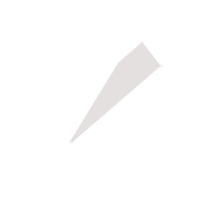 潮州临时保镖服务